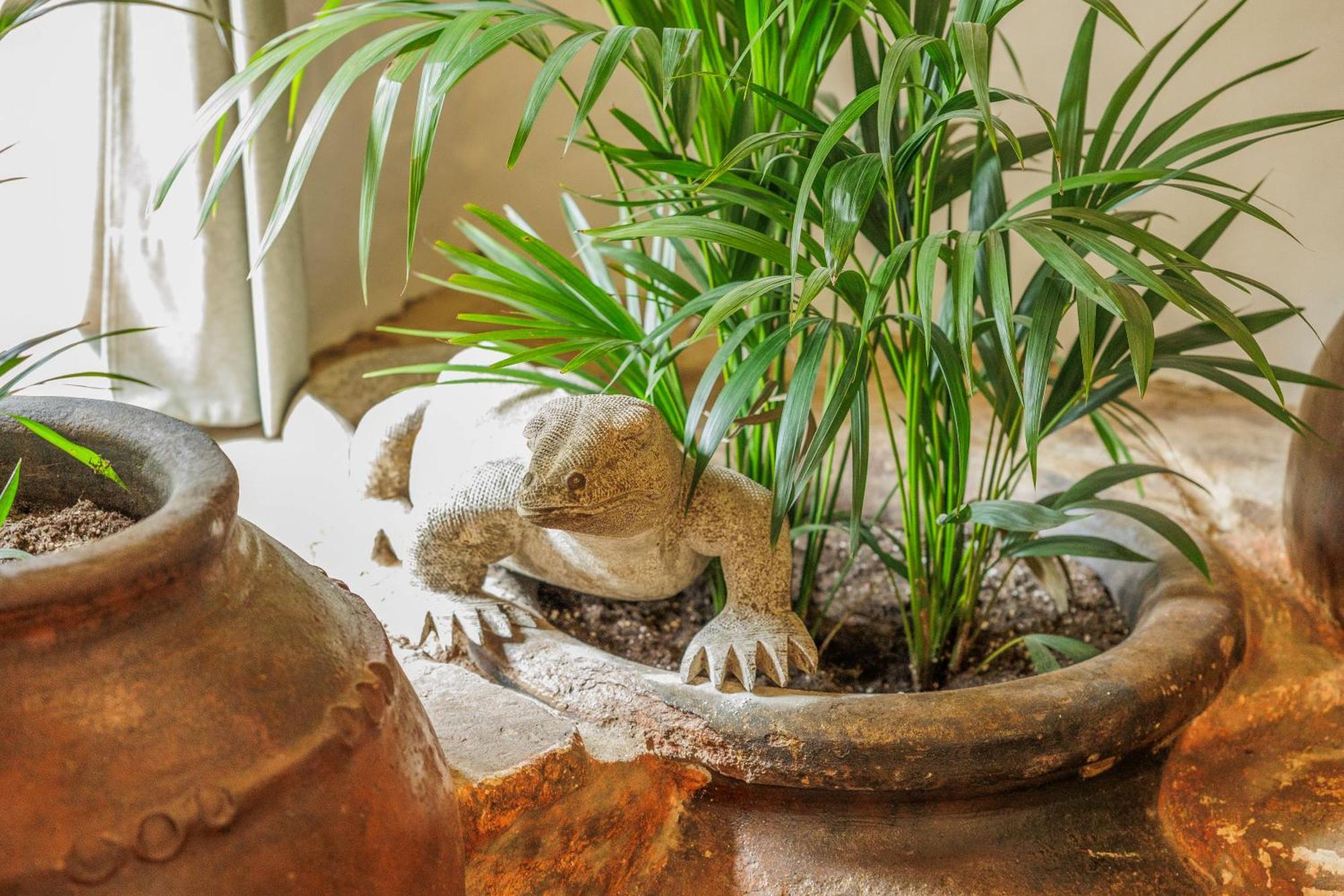 Casa Magnolia Villa Galaroza Dış mekan fotoğraf